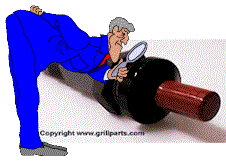 inspector.gif (11216 bytes)